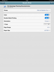 Print job control (iOS view)
